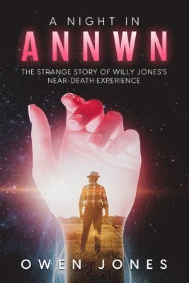 bokomslag A Night in Annwn