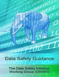 bokomslag Data Safety Guidance