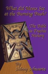 bokomslag What Did Moses See at the Burning Bush?: The Bible as Psychic History
