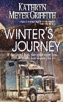 bokomslag Winter's Journey