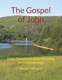 bokomslag Gospel of John