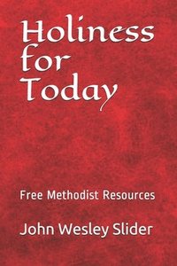 bokomslag Free Methodist Handbook: Holiness for Today