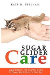 Sugar Gliders: The Essential Guide to Ownership & Care for Your Pet 1
