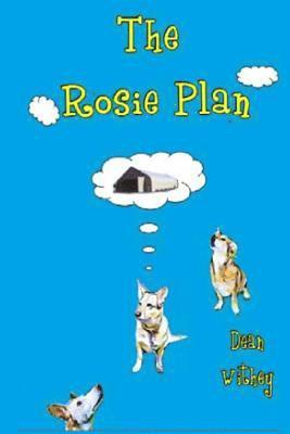 bokomslag The Rosie Plan