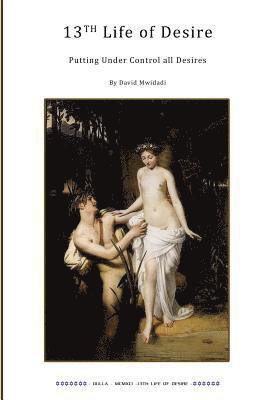 David Dulla Mwidadi - 13th Life of Desire: Putting under Control all Desires, Häftad