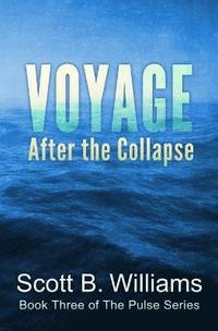 bokomslag Voyage After the Collapse