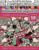 bokomslag Livres de Coloriage Pour Adultes Festival de la plume: Mandalas et Figures Apaisantes Pages de Coloriage Pour Adulte