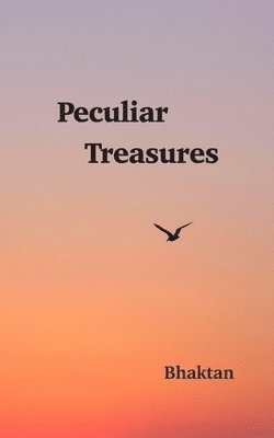 bokomslag Peculiar Treasures