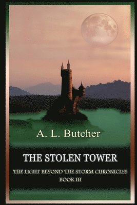 bokomslag Stolen Tower