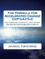 bokomslag The Formula for Accelerated Change (Visionary People Together in Action over Time make Change): How to Become a Visionary Leader, achieve Success and