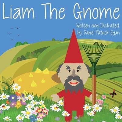 Liam The Gnome 1