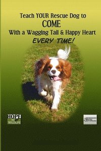 bokomslag Teach Your Rescue Dog to Come with a Wagging Tail & Happy Heart Every Time