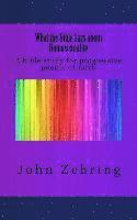 John Zehring - What the Bible Says about Homosexuality: A bible study for progressive people of faith, Häftad