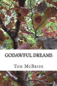 bokomslag Godawful Dreams: Two Tales of Academic Scandal