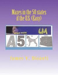 bokomslag Mazes in the 50 states if the US (Easy)