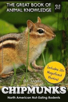 bokomslag Chipmunks
