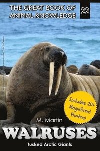 bokomslag Walruses