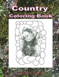 bokomslag Country Coloring Book