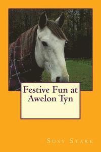 Festive Fun at Awelon Tyn 1