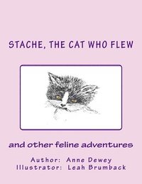 bokomslag Stache, the Cat Who Flew: and other feline adventures