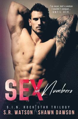 Sex in Numbers (S.I.N. Rock Star Trilogy) 1