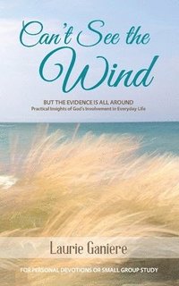 bokomslag Can't See the Wind: But the Evidence is All Around - Practical Insights of God's Involvement in Everyday Life