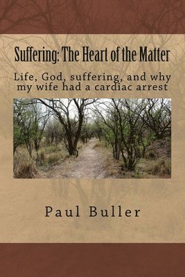 bokomslag Suffering: The Heart of the matter: Life, suffering, God and why my wife had a cardiac arrest