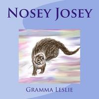 bokomslag Nosey Josey