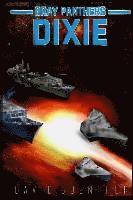 bokomslag Gray Panthers: Dixie