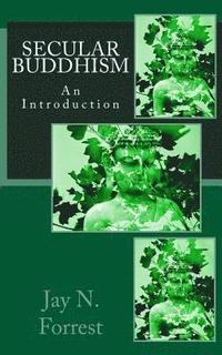 bokomslag Secular Buddhism