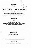 bokomslag Archiv für Anatomie, Physiologie und wissenschaftliche Medicin