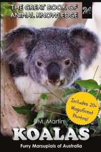 bokomslag Koalas