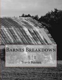 bokomslag Barnes Breakdown