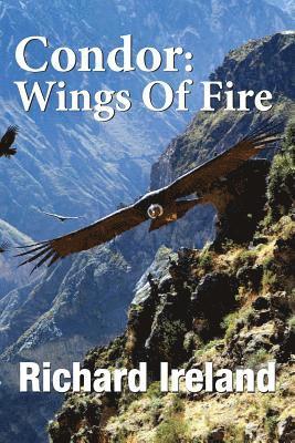 Condor: Wings of Fire 1