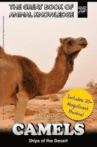 bokomslag Camels