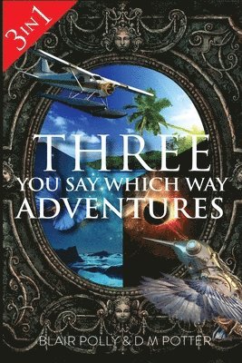 Three You Say Which Way Adventures