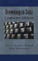 bokomslag Drowning in Data: Corporate Edition