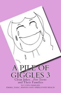 bokomslag A Pile of Giggles 3: Clean Jokes...For Teens and Their Families