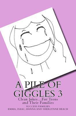 bokomslag A Pile of Giggles 3: Clean Jokes...For Teens and Their Families