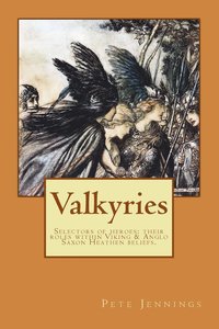 bokomslag Valkyries, selectors of heroes