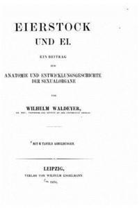 bokomslag Eierstock und Ei, ein Beitrag zur Anatomie und Entwicklungeschichte der Sexualorgane