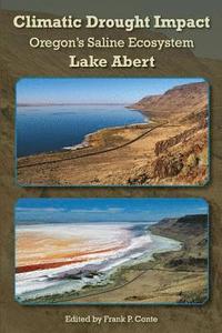 bokomslag Climatic Drought Impact: Oregon's Saline Ecosystem, Lake Abert