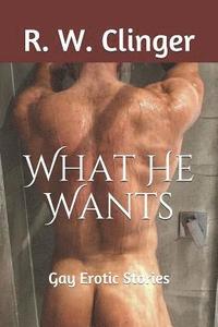 bokomslag What He Wants: Gay Erotic Stories