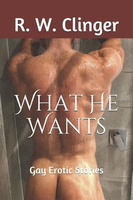 bokomslag What He Wants: Gay Erotic Stories