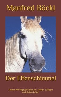 bokomslag Der Elfenschimmel: Sieben Pferdegeschich