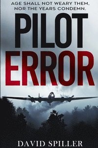 bokomslag Pilot Error