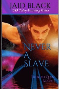 bokomslag Never A Slave