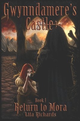 bokomslag Gwynndamere's Castle: Book 1