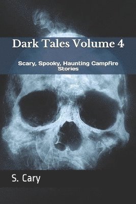 bokomslag Dark Tales Volume 4: Scary, Spooky, Haunting Campfire Stories