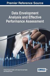 bokomslag Data Envelopment Analysis and Effective Performance Assessment
